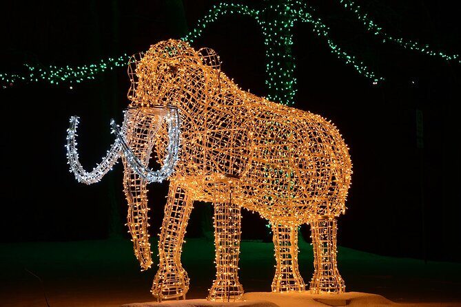 From Toronto:Winter Festival of Lights Niagara Falls Evening Tour - Comfort, Line Skips, and the Little Wins That Add Up